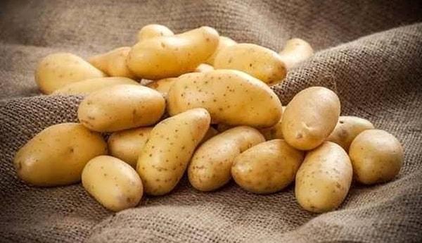 5. İngiltere'ye veya Galler'e patates ithal etmek, bunların Polonyalı olduğundan şüpheleniyorsanız yasaktır.