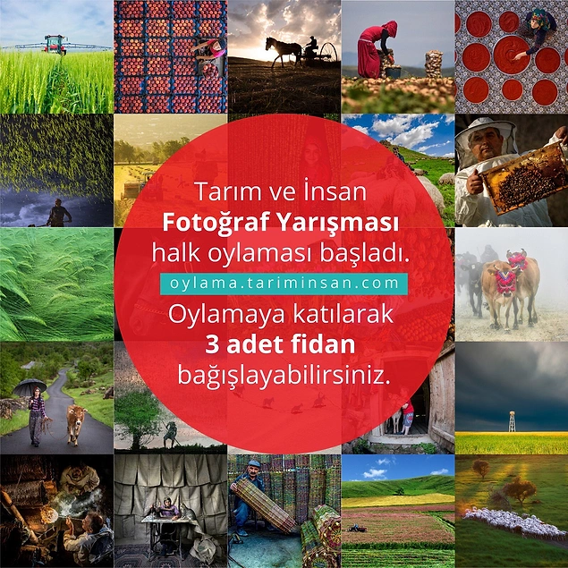 Yarışma konseptine uygun olan fotoğraflar, kurumun internet sitesinde halk oylamasına sunuldu.