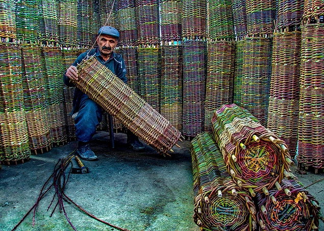 Ayrıca en çok oy alan 1. adına 50 bin, 2. adına 30 bin ve 3. adına da 10 bin fidan bağışlanacak.