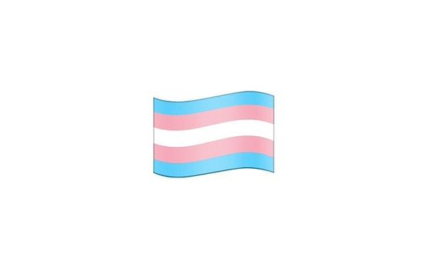Transeksüel Bayrak