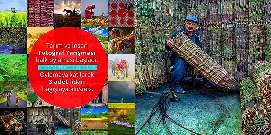 Daha Yeşil Bir Türkiye İçin! Tarım Bakanlığı Düzenlediği Fotoğraf Yarışmasına Oy Veren Herkes İçin 3 Adet Fidan Dikiyor!