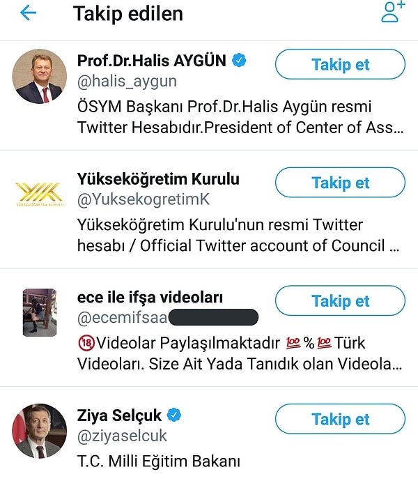 İşin ilginç tarafı bu 8 hesaptan birinin erotik videolar yayınlayan bir hesap olması.