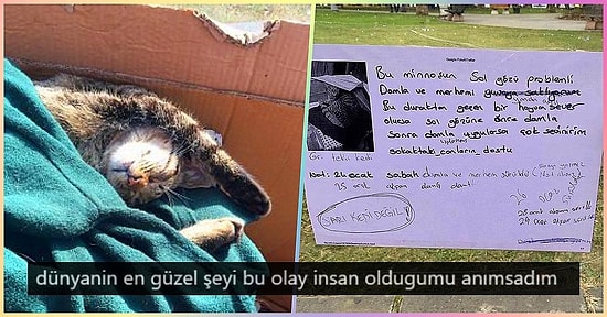 Dünya Sizin Hatrınıza Dönüyor! Hasta Olan Sokak Kedisinin İlacı Uygulansın Diye Durağa Not Bırakan Güzel İnsanlar