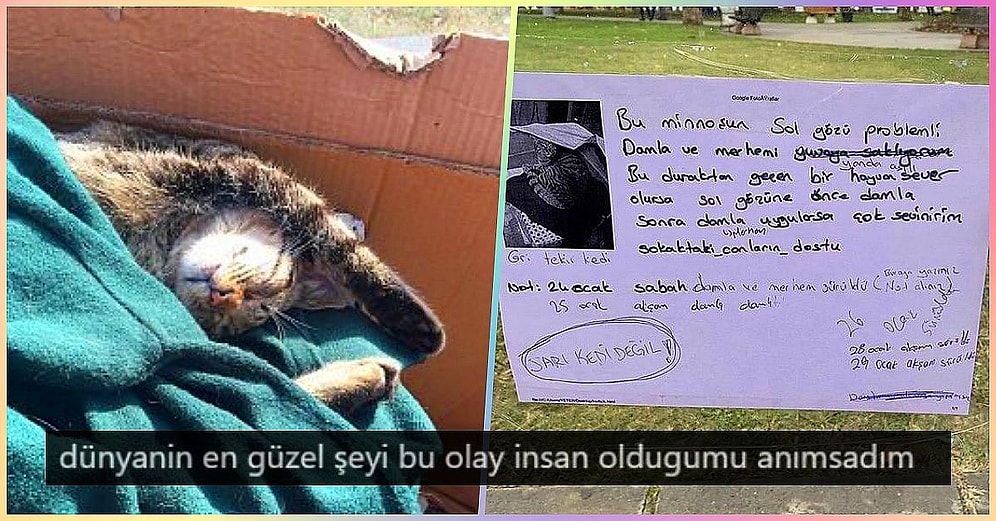 Dünya Sizin Hatrınıza Dönüyor! Hasta Olan Sokak Kedisinin İlacı Uygulansın Diye Durağa Not Bırakan Güzel İnsanlar