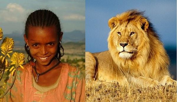 10. 2005'te Etiyopya'da kaçırılıp şiddet gören kızı, bir aslan sürüsü adamları kovalayarak kurtarmış ve yardım gelene kadar da kızın başında ayrılmamışlardır.