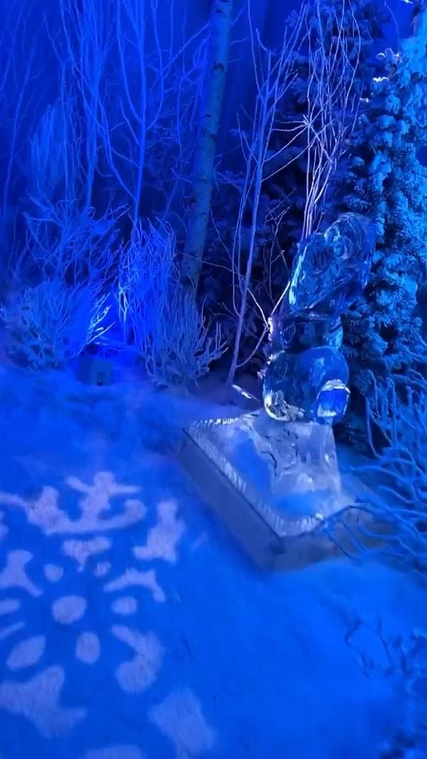 Frozen World'de ise her yerde buzdan heykeller yer alıyor, mobilyalar bile buzdan yapılmış.
