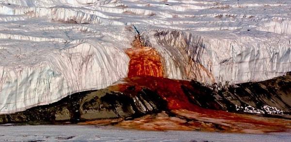 14. Antarktika'da 'kan şelalesi' denen bir buzul vardır. Akan kırmızı renkli sıvı nedeniyle buzul sanki kan ağlıyormuş gibi gözükür.