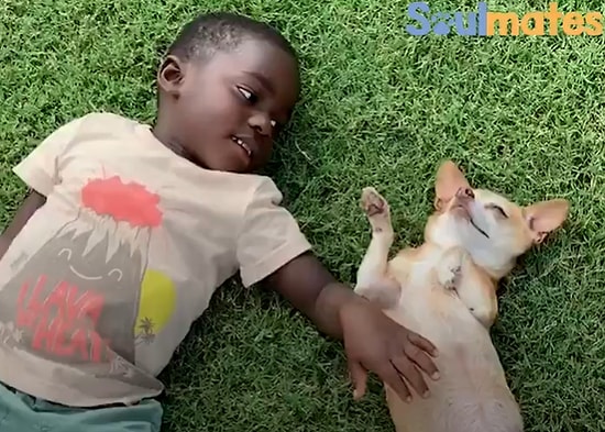 Köpek Korkusunu Dünya Tatlısı Yeni Dostu ile Halleden Ufaklığın Muhteşem Görüntüleri!