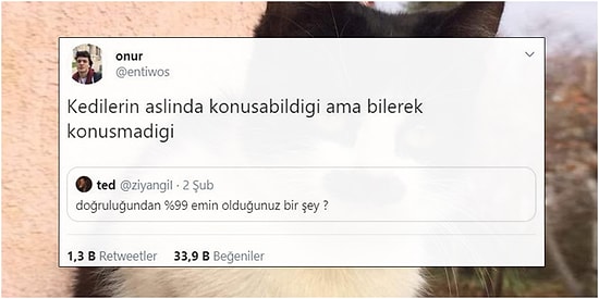 Doğruluğundan %99 Emin Oldukları Olaylarla Hem Kendisine Hak Verdirecek Hem de Güldürecek 19 Kişi