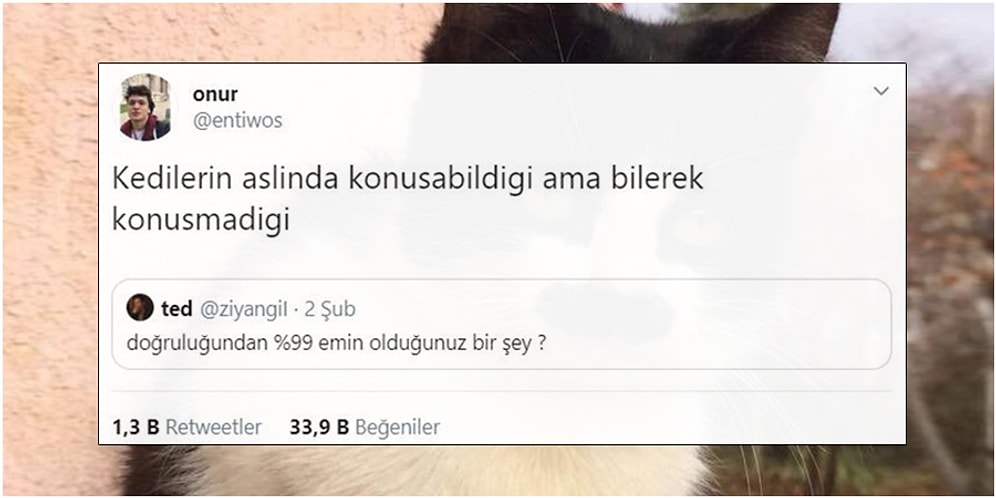 Doğruluğundan %99 Emin Oldukları Olaylarla Hem Kendisine Hak Verdirecek Hem de Güldürecek 19 Kişi