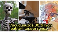 Kendi Bedeniniz Hakkında Daha Önce Duymadığınız Birbirinden Şaşırtıcı 20 Bilimsel Gerçek
