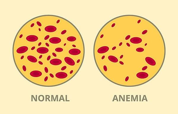 Kanımızda kırmızı kan hücreleri içinde yer alan hemoglobin, dokular için gerekli olan oksijeni taşır.