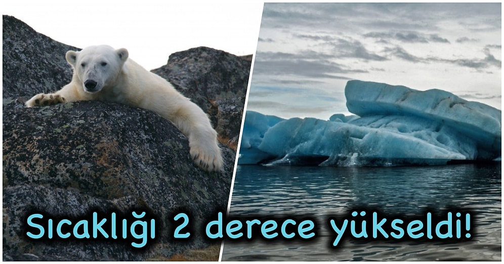 Araştırmacılar, Antarktika'daki 'Kıyamet Günü Buzulu'nun Eridiğine Dair Endişe Verici Sonuçlara Ulaştı!