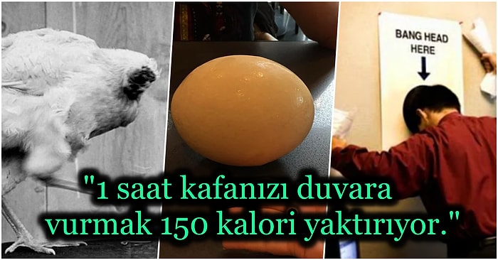 Duyduğunuzda Kulağa Tuhaf Gelip Yüzünüzde Şaşkınlık Emojisi Yaratacak 17 Absürt Gerçek