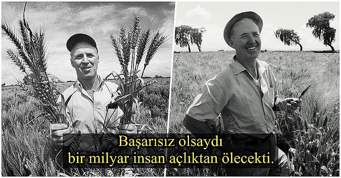 İnatçı Bir Gençlik Zekasıyla Bir Milyar İnsanı Açlıktan Ölmekten Kurtaran İnsan: Norman Borlaug