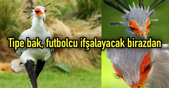 Yüzünüzde Gülümseme Bırakabilecek Sporla İlgili Yapılan Haftanın En Komik Paylaşımları