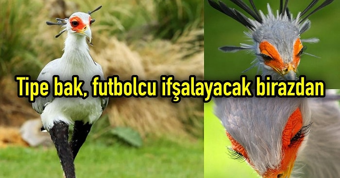 Yüzünüzde Gülümseme Bırakabilecek Sporla İlgili Yapılan Haftanın En Komik Paylaşımları