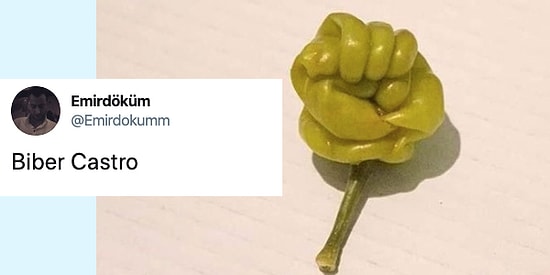 Twitter'ın Alıntılama Özelliğini Mizahla Harmanlayarak Son Günlere Damgasını Vuran 15 Kişi