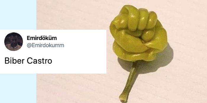 Twitter'ın Alıntılama Özelliğini Mizahla Harmanlayarak Son Günlere Damgasını Vuran 15 Kişi