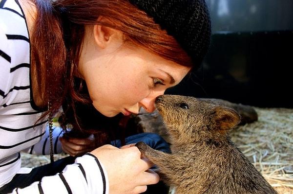 9. "Kısakuyruklu Kanguru dostunuz hiç beklenmedik bir anda gelip kalbinizi çalar."