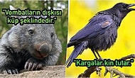 Akıllarının Bir Köşesine Attıkları Gereksiz Bilgileri Paylaşırken Ufkunuzu Genişletecek Anlara İmza Atan 18 Kişi