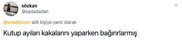 23.