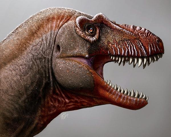 Zelenitsky'nin 'Cretaceous Research' dergisinde eş yazarlığını yaptığı araştırmaya göre oldukça az sayıda tiranozor türü var.