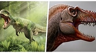 Nesli Tükendikten 79 Milyon Yıl Sonra Varlığını Keşfettiğimiz T. Rex’in Yaşlı Kuzeni ‘Thanatos’