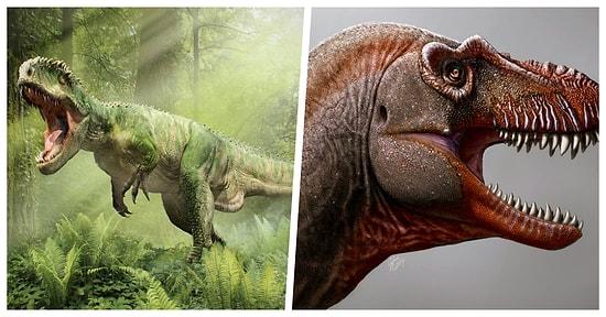 Nesli Tükendikten 79 Milyon Yıl Sonra Varlığını Keşfettiğimiz T. Rex’in Yaşlı Kuzeni ‘Thanatos’