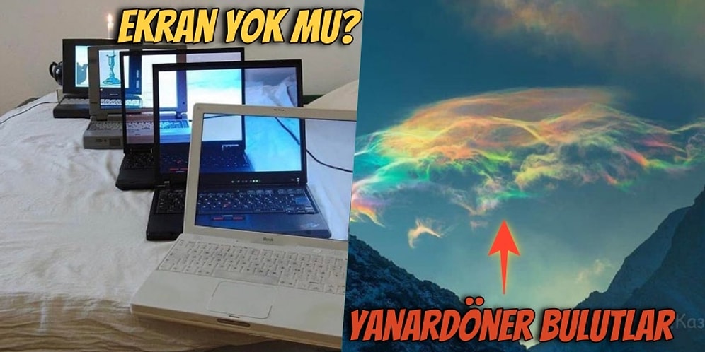 'İki Dakika Bakıp Çıkarım' Diye Açsanız da İnternetin Efendisi Olmuş Bu Görüntülerden Gözünüzü Ayıramayacaksınız!
