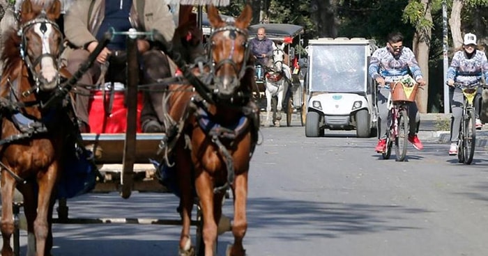 Ruam Hastalığı Sonrası Faytonlar Kaldırılmıştı: Adalar'da Elektrikli Taşımayı İETT Yapacak