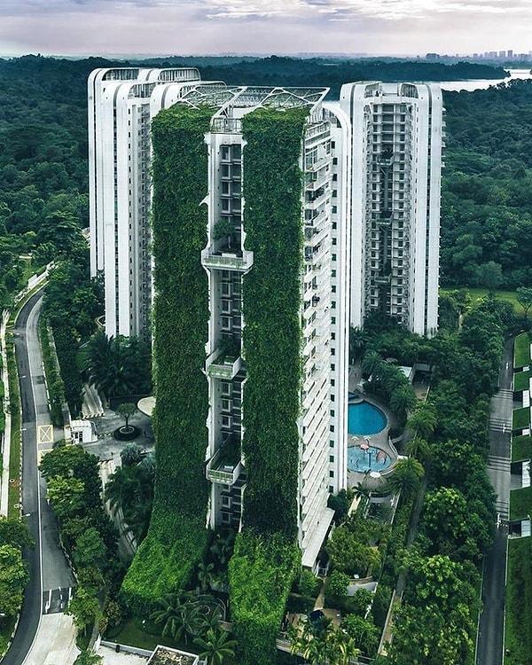 12. Singapur'da bazı binaların dışı bitki dolu, amacı ise soğuk havayı artırmak.