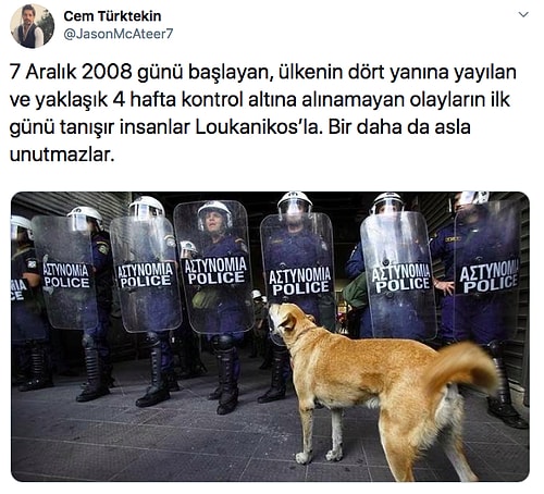 Beyzbol Sopasıyla Dövülüp Köprüden Atılan ve Milyonlarca İnsana Vefa Dersi Veren Köpek Loukanikos'un Göz Dolduran Hikayesi