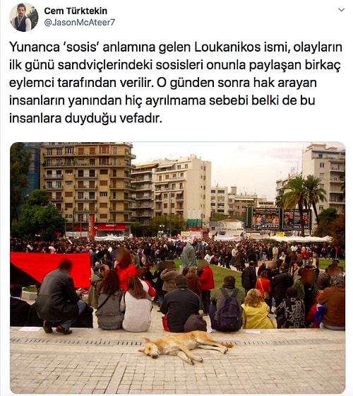 Beyzbol Sopasıyla Dövülüp Köprüden Atılan ve Milyonlarca İnsana Vefa Dersi Veren Köpek Loukanikos'un Göz Dolduran Hikayesi