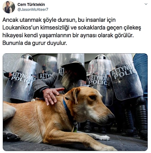 Beyzbol Sopasıyla Dövülüp Köprüden Atılan ve Milyonlarca İnsana Vefa Dersi Veren Köpek Loukanikos'un Göz Dolduran Hikayesi