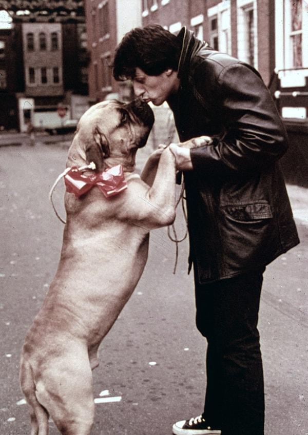 12. Sylvester Stallone fakirlikten köpeğini 40 dolara satmak zorunda kalmış ve Rocky senaryosunun alıcı bulmasının ardından aynı köpeği 15 bin dolara geri satın almıştır.