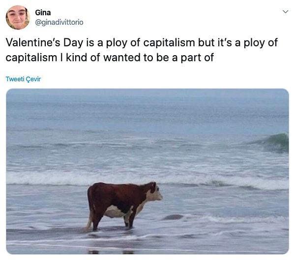 4. "Sevgililer Günü kapitalizmin bir oyunu ama kapitalizmin dahil olmak istediğim türden bir oyunu."