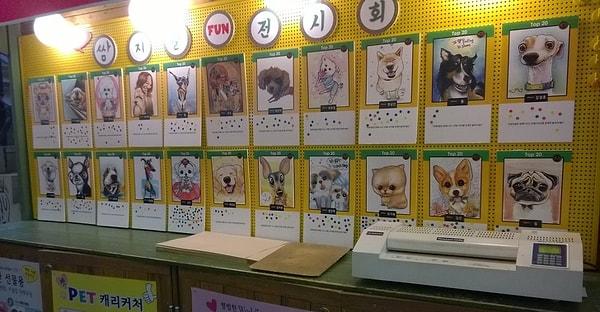24. Güney Kore'de insanlar kendilerinden çok evcil hayvanlarının karikatürlerini çizdirmektedir.