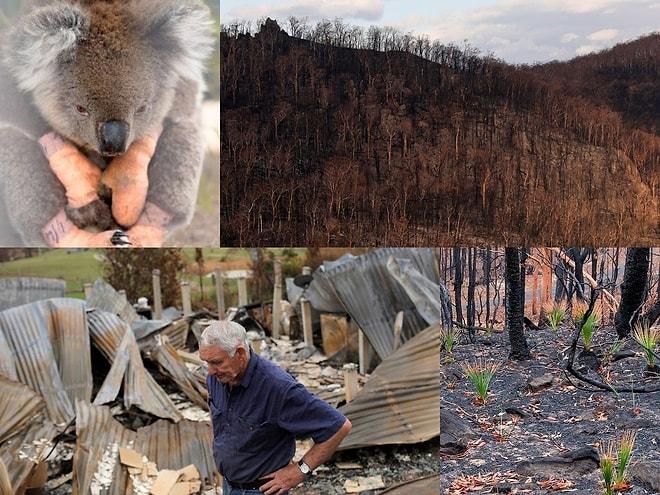 Avustralya'daki Orman Yangınlarının Bilançosu: Halkın Yüzde 75'i Etkilendi, Yıllarca Hasarıyla Yaşayacaklar