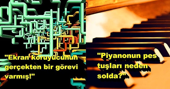 Sık Gördüğümüz Şeylerle İlgili Aşırı İlginç Gerçekleri Öğrenip Ufku Açılan 15 İnternet Kullanıcısı