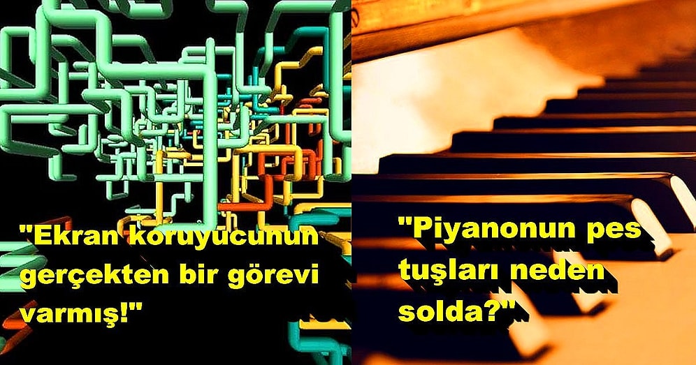 Sık Gördüğümüz Şeylerle İlgili Aşırı İlginç Gerçekleri Öğrenip Ufku Açılan 15 İnternet Kullanıcısı