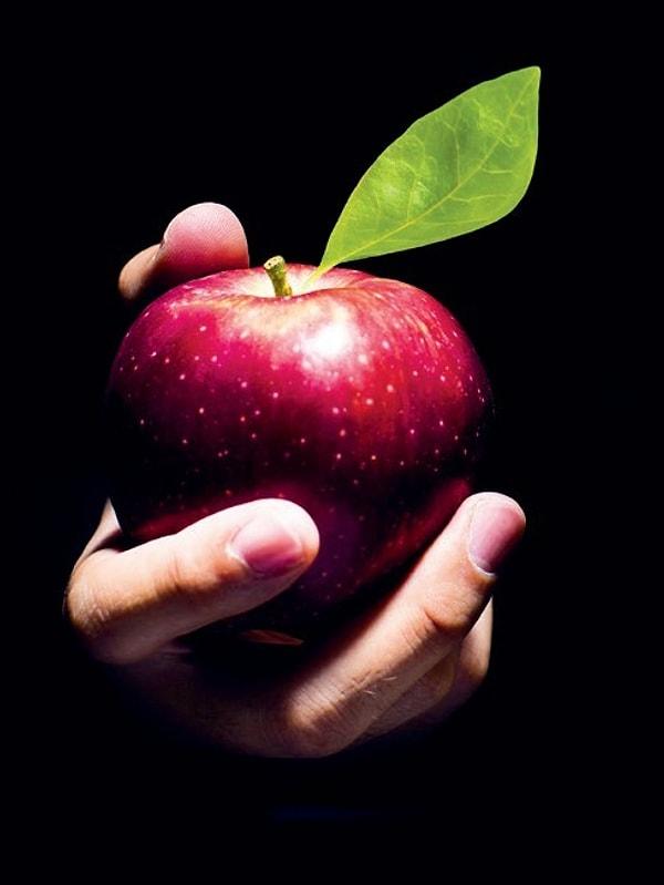 7. Adem ve Havva'nın yediği yasak meyve, Kutsal Kitaplarda asla elma olarak geçmemektedir.