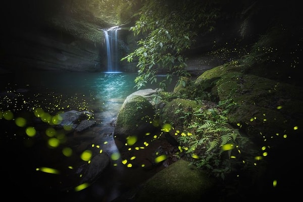 Водопады Вангу На Севере Тайваня, Куо Зей Ян (Kuo Zei Yang)