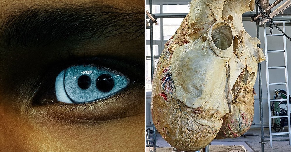 Sosyal Medyada Uzmanlaşmış Sıra Dışı Yapay Zeka Archillect'ten Üçüncü Gözünüzü Açacak 28 Paylaşım