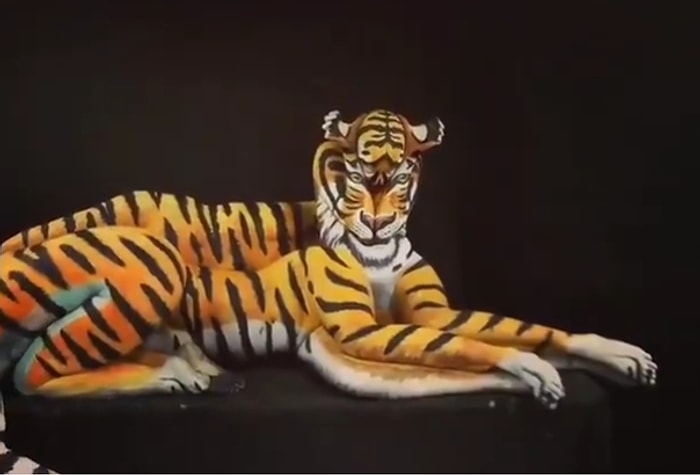 Performans Sanatçılarının Oluşturdukları Tek Bir Kaplan Görüntüsü!