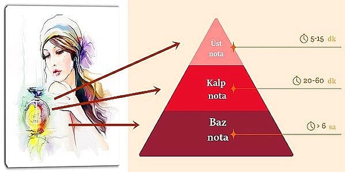 Cildinize En Uygun ve Kalıcı Olanını Seçip Doğru Şekilde Kullanmanız İçin Özetlenmiş Parfüm Rehberi