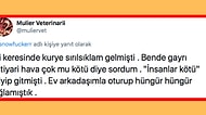 Kuryelerle Yaşadıkları Anları Paylaşırken Hem İçinizi Acıtacak Hem de Onları Daha İyi Anlamanızı Sağlayacak İnsanlar