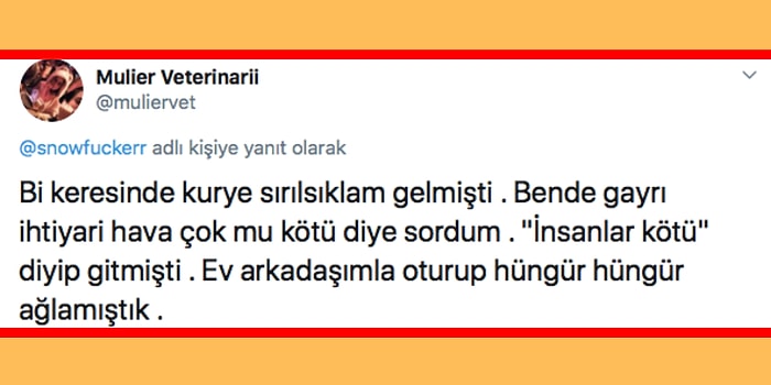 Kuryelerle Yaşadıkları Anları Paylaşırken Hem İçinizi Acıtacak Hem de Onları Daha İyi Anlamanızı Sağlayacak İnsanlar