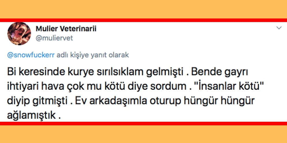 Kuryelerle Yaşadıkları Anları Paylaşırken Hem İçinizi Acıtacak Hem de Onları Daha İyi Anlamanızı Sağlayacak İnsanlar