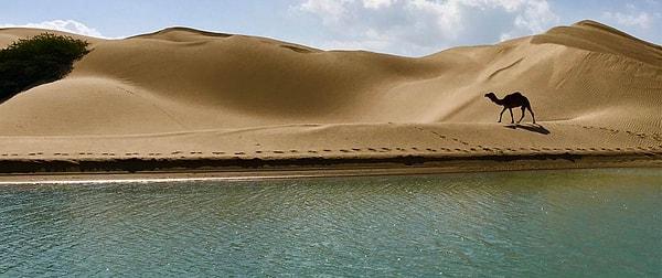 13. Sahra Çölü'nde plajlarda tatil yapılabilecek.